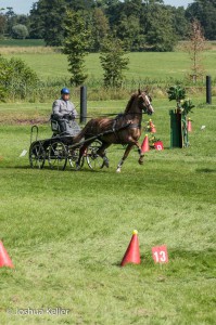 dressuur en vaardigheid  nienoord 10-8-2015  joshua keller-0089      